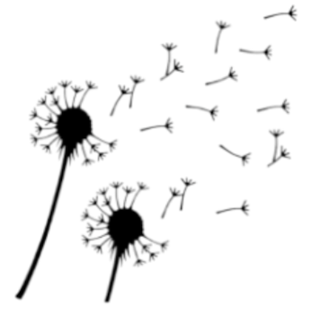 Bilder konfi